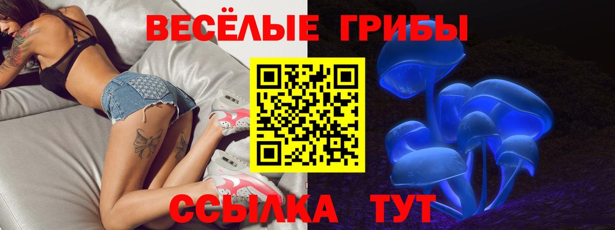 Псилоцибиновые грибы GOLDEN TEACHER Ачинск